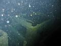Thistlegorm (54)